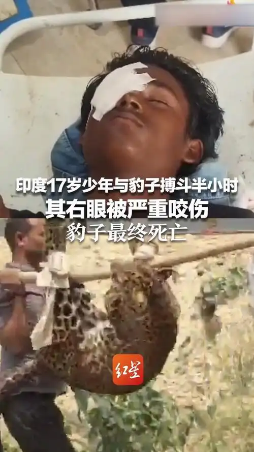 17岁少年徒手单杀豹子！印度妖星引爆转会市场，欧洲豪门疯抢“丛林猎豹”